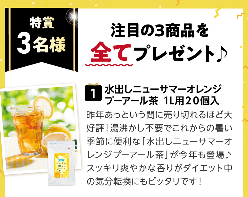 【特賞3名様】（1）水出しニューサマーオレンジプーアール茶１L用２０個入
