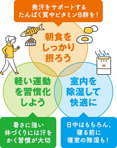 朝食をしっかり摂ろう 軽い運動を習慣化しよう 室内を除湿して快適に
