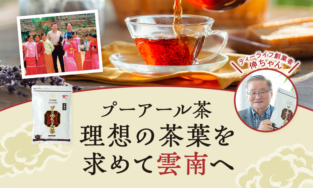 プーアール茶、理想の茶葉を求めて雲南へ