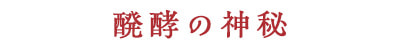 醗酵の神秘