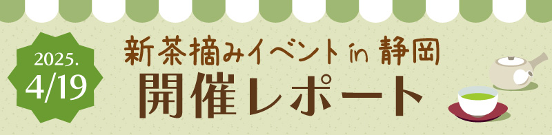 新茶摘みイベントin静岡