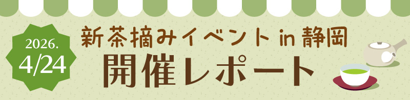 新茶摘みイベントin静岡