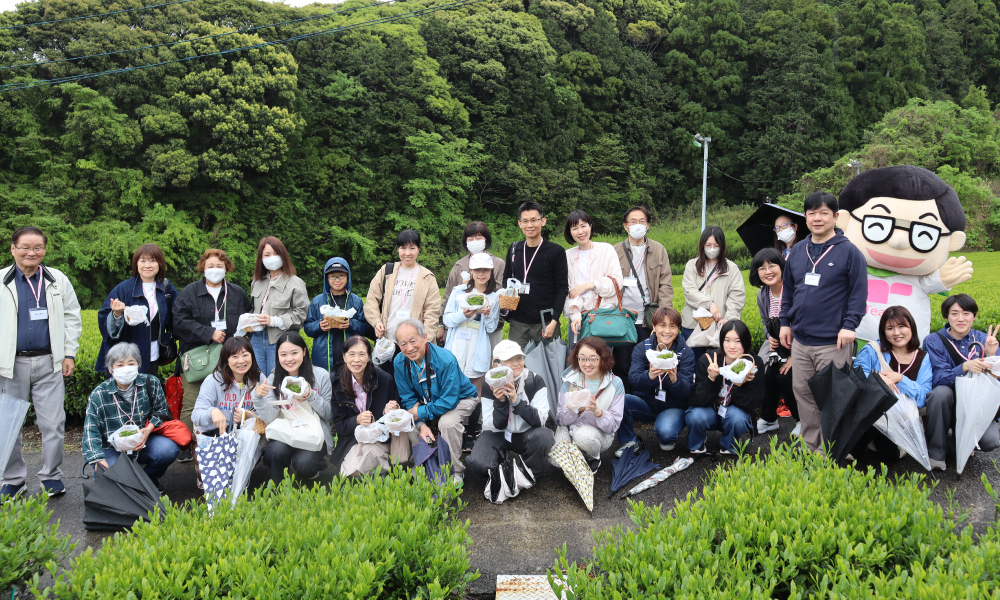 新茶摘みイベント in 静岡（2026年4月24日）