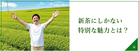 今年の新茶もご期待ください