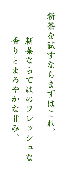 新茶おすすめ①　新茶の爽やかさと甘みを生かした「生新茶」