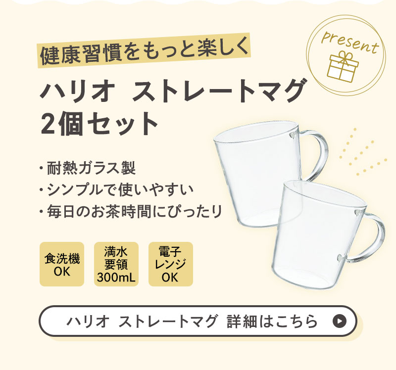 ハリオ ストレートマグプレゼント
