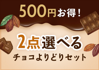 魅惑のチョコよりどりセット２点選べるコース