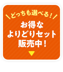 お得なよりどりセット販売中！